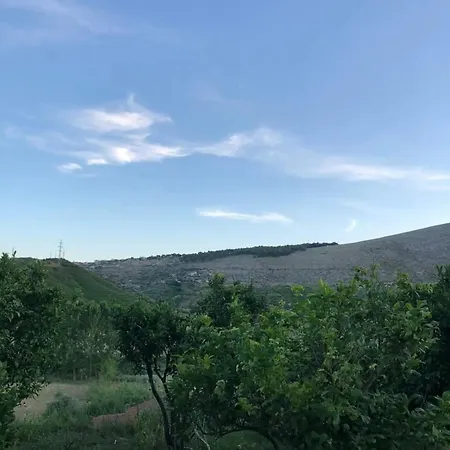 Szálloda Andi's Saranda