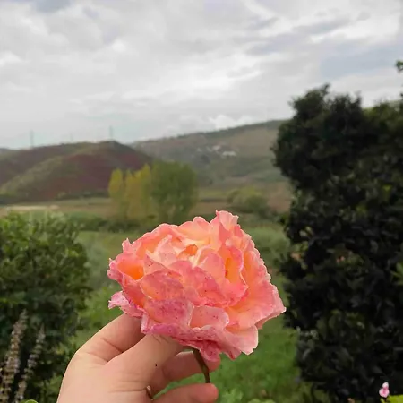 Andi's Szálloda